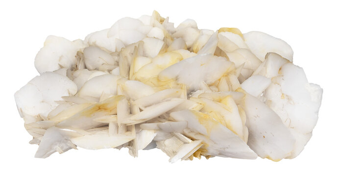 specimen of mineral from geological collection - natural white rose calcite rock isolated on white background