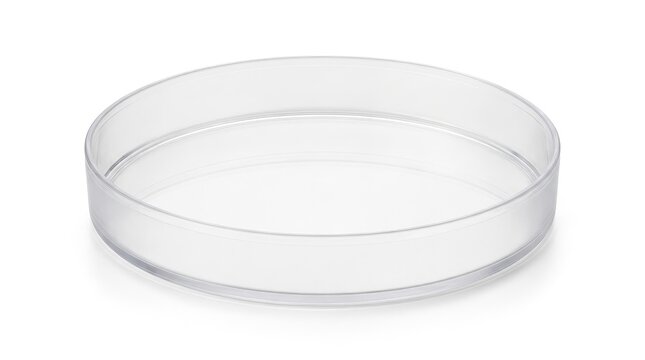 Clear petri dish for microbiology essential laboratory objects for cell culture and scientific research