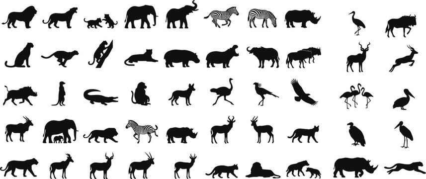 African Safari Animal Silhouette Vector Collection Featuring Lions, Elephants, Giraffes, Zebras, Rhinos, Antelopes, Birds and Wildlife Poses