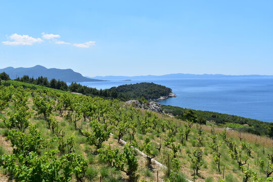 croatia - costline