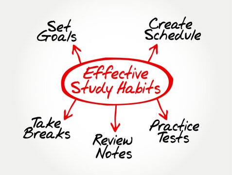 EFFECTIVE STUDY HABITS mindmap chart detailing set goals, create schedule, take breaks, review notes, and practice tests. Handwritten educational flowchart for student skill learning and success.