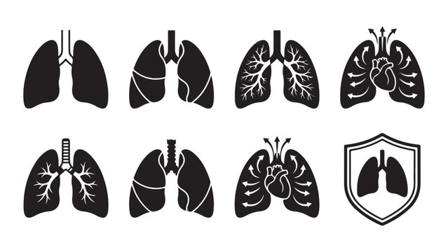 Solid Icons of Lungs and Heart Anatomy with Breathing Process and Lung Protection