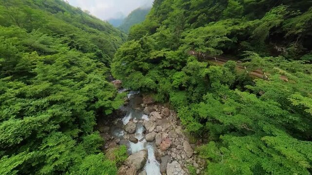 梅雨の合間の滝