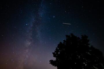 Fototapeta premium Summer Milky Way stars and landscape scenery silhouettes.
