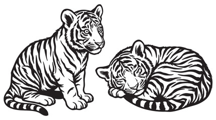 Fototapeta premium Tiger cubs, black and white illustration, sitting and sleeping tigers, animal icons