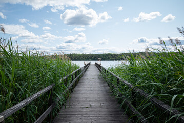 Obraz premium Wooden Boardwalk Leading Through Tall Reeds to a Lakeside Viewpoint Under a Swedish Summer Sky