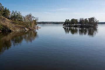 Obraz premium Bare Birches and Evergreens Framing a Silent Spring Lake in the Swedish Archipelago