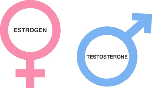 Flat illustration of estrogen and testosterone gender symbols depicting hormones for medical and biology design