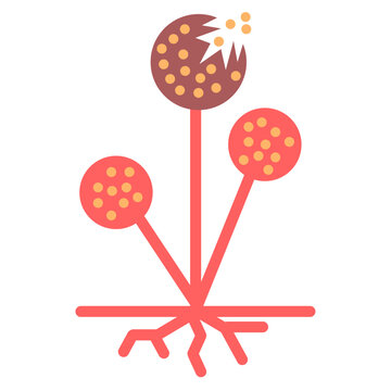 Rhizopus Mold Fungus Microscopic Structure and Spores Vector Illustration