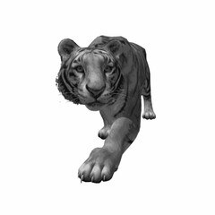 Realistic tiger walking toward viewer isolated on white background. High-quality 3D vector illustration. © Iron mystogan 