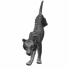 Realistic tiger walking forward isolated on white background. High-quality 3D vector illustration. © Iron mystogan 