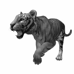 Realistic tiger running aggressively isolated on white background. High-quality 3D vector illustration. © Iron mystogan 