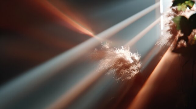 Dust Motes in Sunlight: Tiny dust motes dance and shimmer within ethereal shafts of sunlight piercing through a window, creating a magical and contemplative atmosphere.