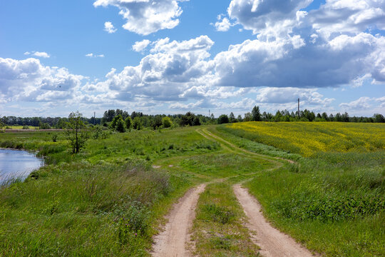 A scenic dirt path meanders through a lush green meadow, bordering a tranquil body of water and a vibrant field of yellow wildflowers.