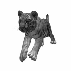 Realistic tiger cub running isolated on white background. High-quality 3D vector illustration. © Iron mystogan 