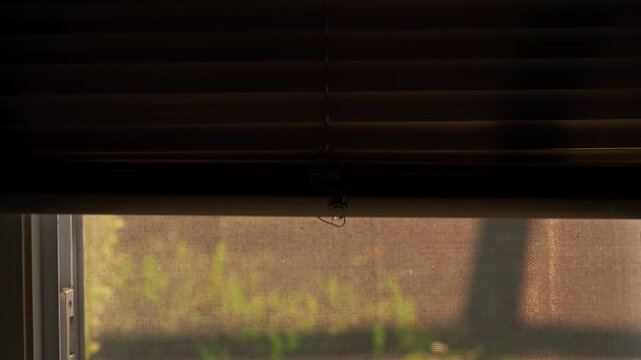 Horizontal Window Blinds Slowly Raising and Lowering to Reveal and Conceal the Outdoor View, Interior Close Up, Privacy, Light Control