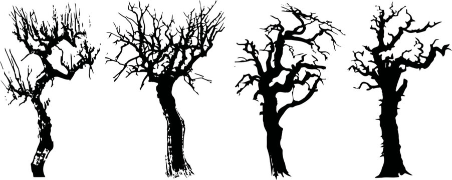 Four bare leafless trees with twisted branches in silhouette isolated on white background