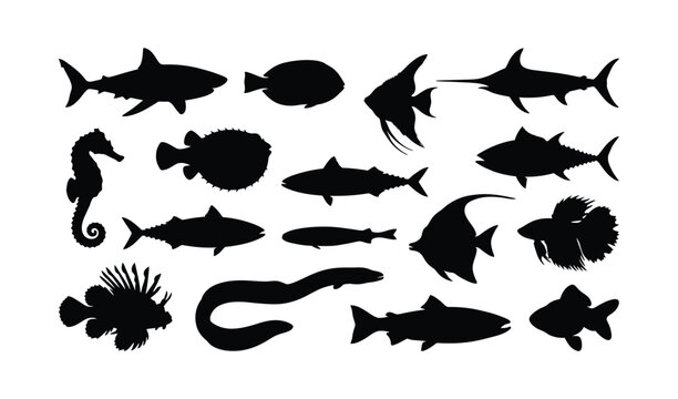 Black silhouette collection of diverse marine life including sharks, fish, seahorse, and octopus on white background