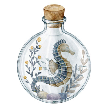 Seahorse watercolor illustration. Marine animal with seaweeds in glass bottle on isolated background. Fantasy ocean composition for nursery poster, sea storybook themes and childish nautical artwork.
