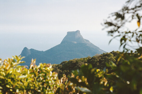 Rio Peak Through Leaves