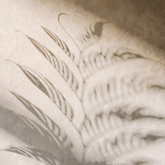 Leaf shadows projected on a textured wall a minimalist botanical photograph in neutral tones abstract © BlueMark