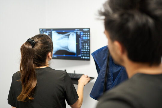Veterinarians reviewing animal x ray for pet diagnosis