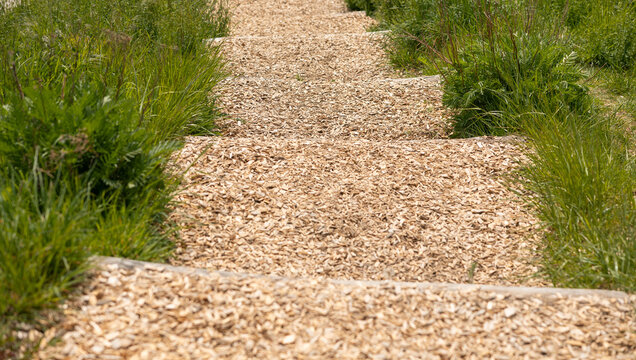 Wooden steps, wood chips, path down ward in a park. . Grass and brush along the side of the path