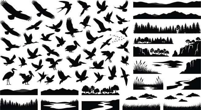 Flying birds silhouette vector collection featuring wild eagles seagulls herons and mountain forest landscape borders