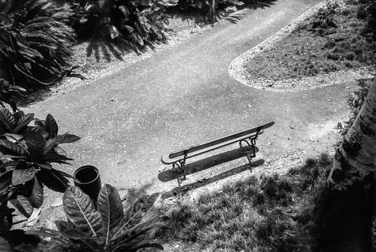 Empty Garden Bench