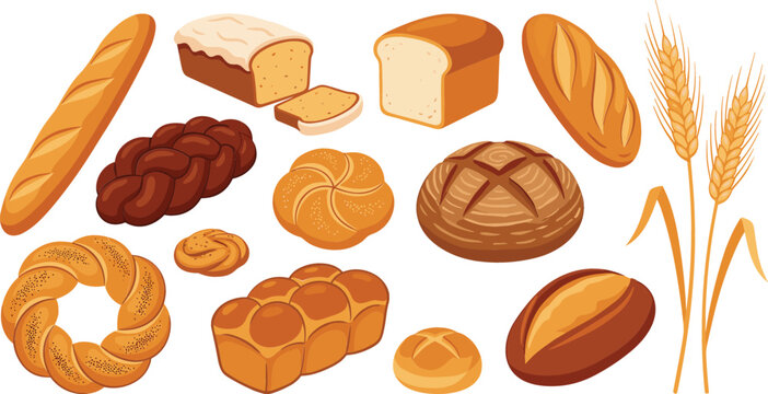 Bakery products vector collection featuring fresh bread baguette loaf sliced bun challah braided pastry and wheat ears isolated on white background flat cartoon illustration