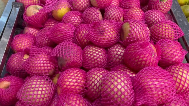 Premium red apples wrapped in pink protective foam net