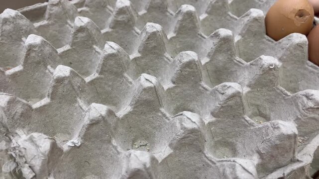 Empty paper egg carton tray close up at local market