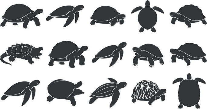 Turtle and Tortoise Silhouette Collection Vector Set Featuring Sea Turtles, Land Tortoises and Reptile Species Isolated on White Background