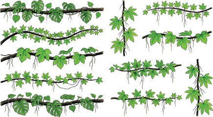 Green Jungle Vine Vector Set with Hanging Liana Creepers and Tropical Leaf Branches for Rainforest Nature Border Templates and Botanical Frame Designs © Rashidul