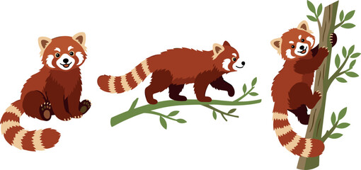 Cute Red Panda Vector Illustration Set Featuring Endangered Asian Mammal Sitting Walking on Branch and Climbing Tree for Forest Wildlife and Children Graphic DesignsCute Red Panda Vector Illustration  © MST