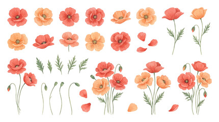 Obraz premium Watercolor Red and Orange Poppy Flower Botanical Sheet Set with Buds and Leaves for Design