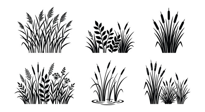 Cattails And Grasses Vector Illustration Black And White Botanical Arrangement