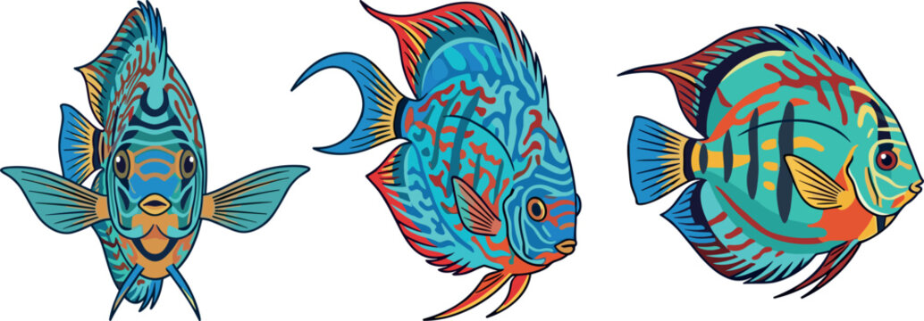 Discus Fish Vector Illustration Set Featuring Colorful Blue and Orange Tropical Marine Cichlids for Aquarium Exotic Ocean Reef Life and Wildlife Design ProjectsDiscus Fish Vector Illustration Set Feat