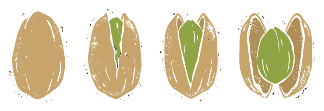 Pistachio split design illustration showing the opening process of the green nut in a brown shell, for healthy snack packaging