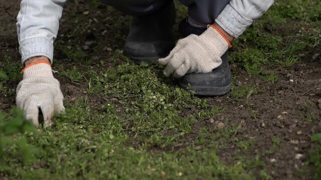 Close-up of gloved hands tightening a black boot lace on a grassy patch of soil in natural daylight, showing practical outdoor workwear and a focused manual