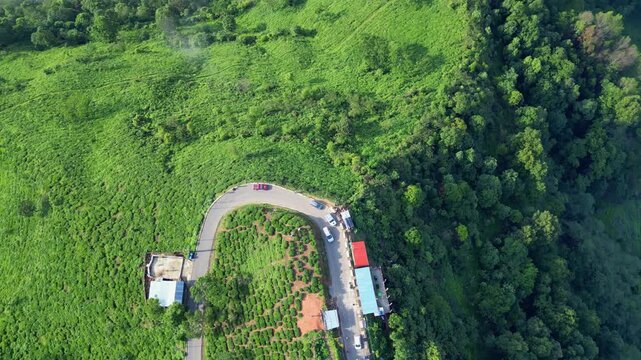 Darjeeling, Natural Beauty, Aerial Drone