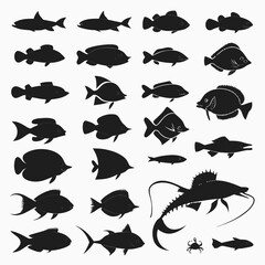 Extensive set of black fish and marine creatures silhouettes, including a variety of species for aquatic designs, logos, and educational content. © Monira