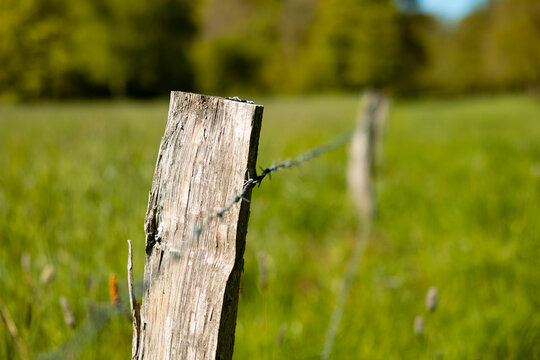 Close-up of a wooden stake with a wire fence in a field. Farm land, rural scenery, electric fence on a meadow to keep animals safe.