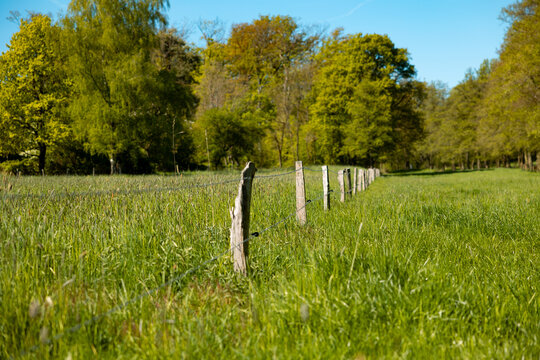 Row of wooden stakes with a wire fence in a field. Farm land, rural scenery, electric fence on a meadow to keep animals safe.