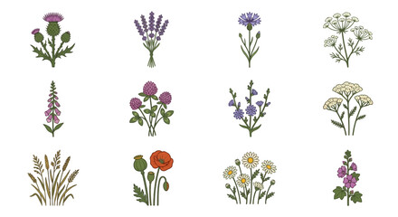 Clean Botanical Set of Twelve Diverse Flowers and Plants in Watercolor Style with Green Leaves and Varied Colors © Samsul