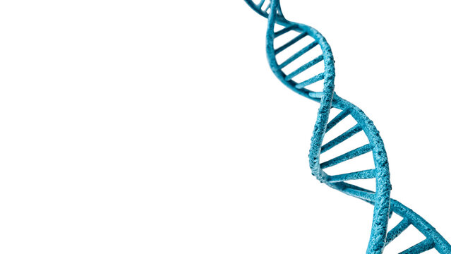 Blue DNA double helix molecule structure medical genetics icon isolated on transparent background cut out