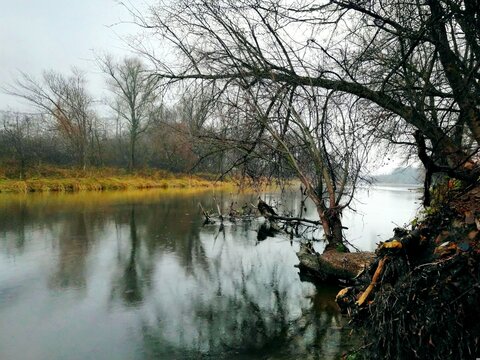 Moody autumn river landscape with bare tree branches and reflection