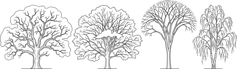 Set of winter tree silhouettes with bare branches isolated on a white background © MDMizanur