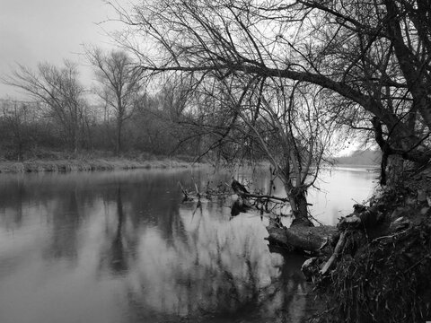 Black and white moody autumn river landscape with bare tree branches