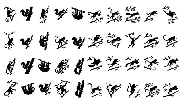 Wild Arboreal Animals and Tree Dwellers Silhouette Set, Professional Jungle Wildlife Monkey Squirrel Sloth Koala Lemur and Flying Possum Vector Illustration